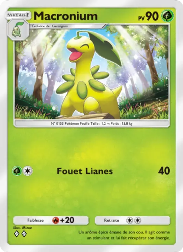 Bayleef card in French