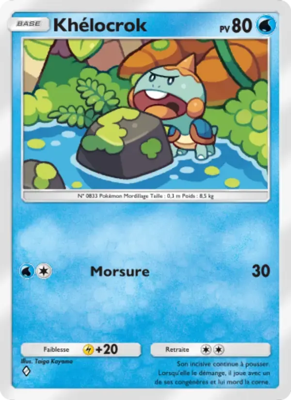 Chewtle card in French
