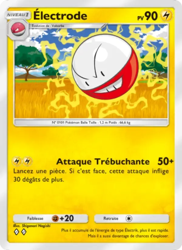 Electrode card in French