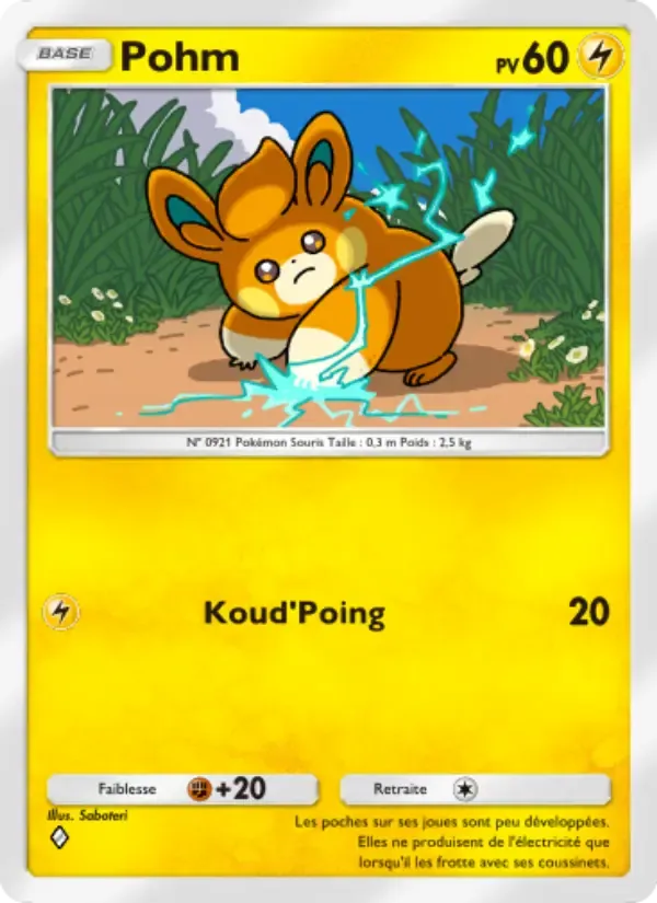 Pawmi card in French