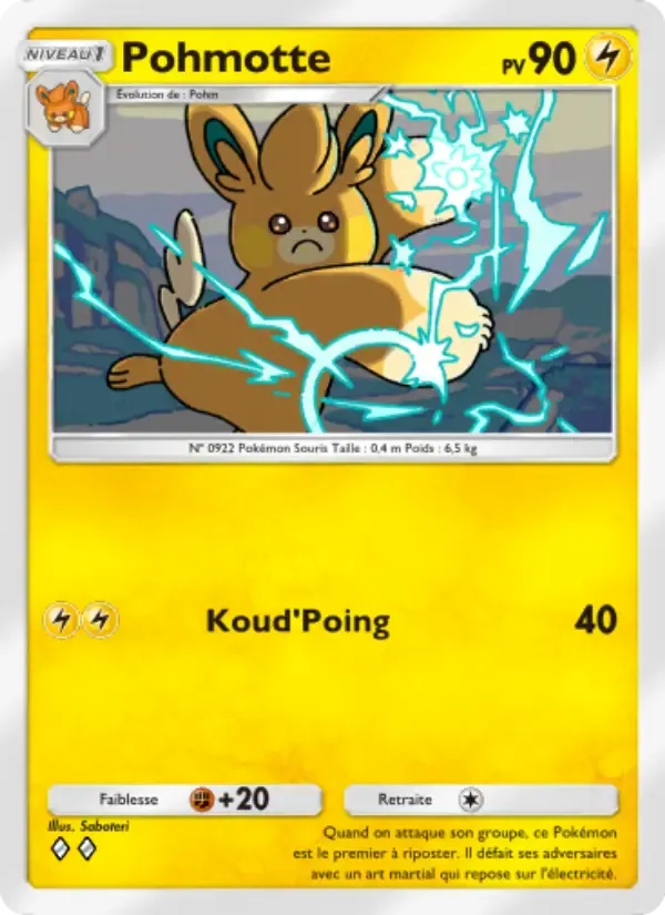 Pawmo card in French