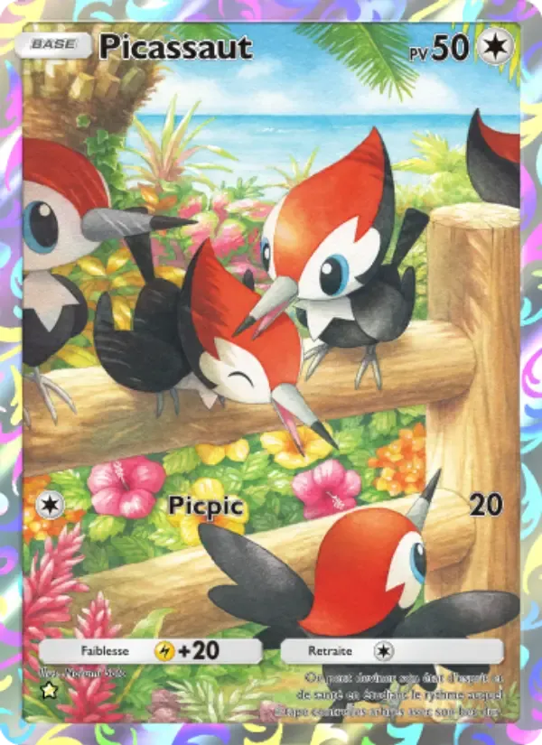 Pikipek card in French
