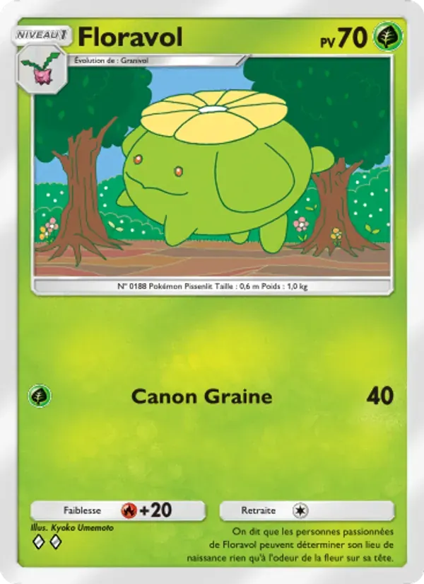 Skiploom card in French