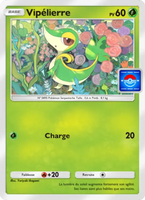 Snivy card in French