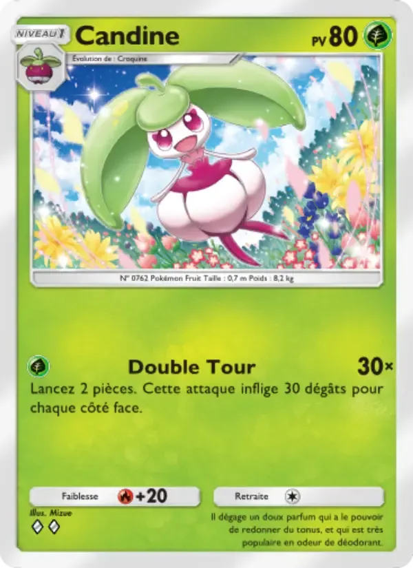 Steenee card in French