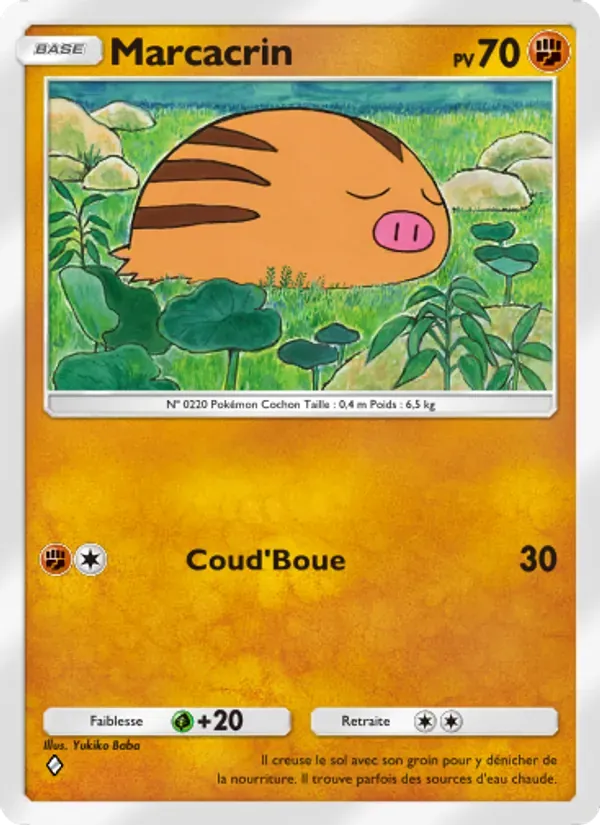 Swinub card in French