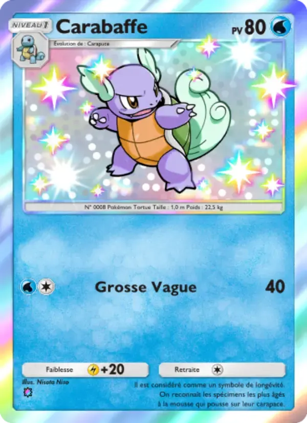 Wartortle card in French