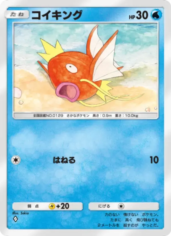 일본어로 된 Magikarp 카드