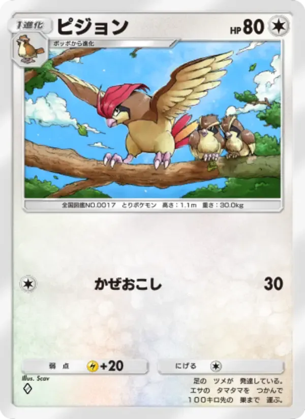 Pidgeotto card in Japanese