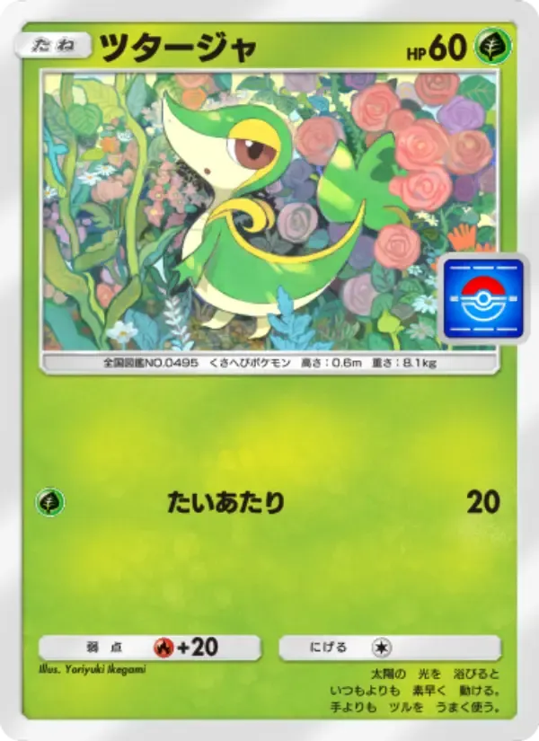 Snivy card in Japanese