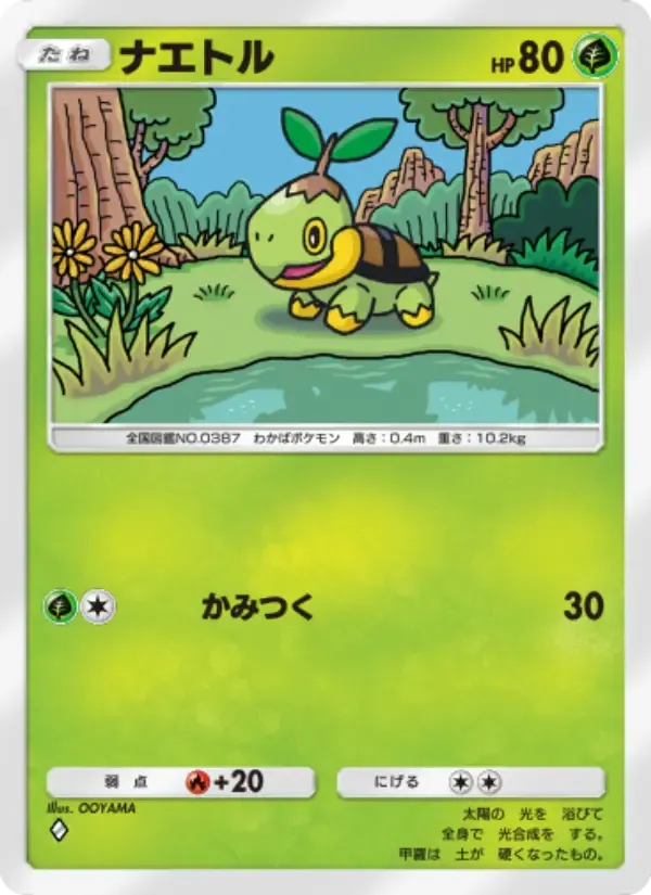 Turtwig card in Japanese
