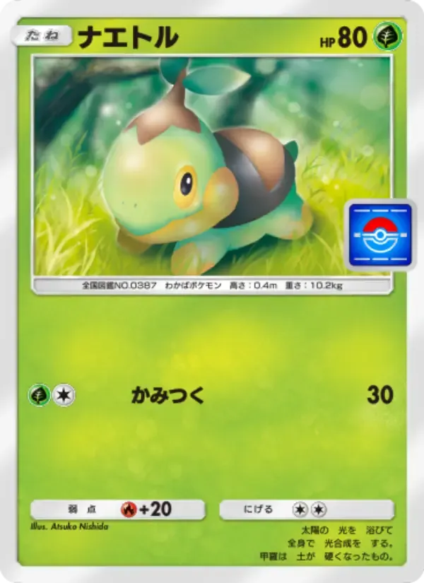 Turtwig card in Japanese