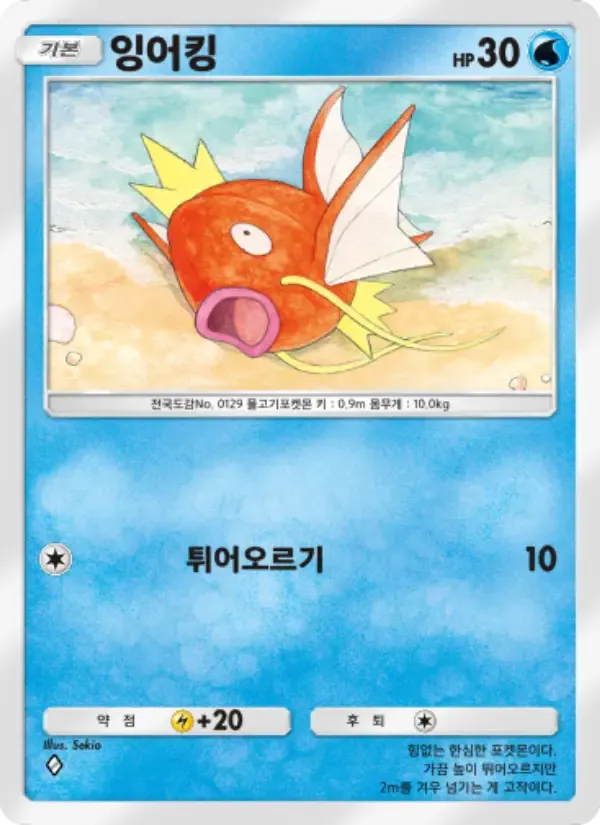 한국어로 된 Magikarp 카드