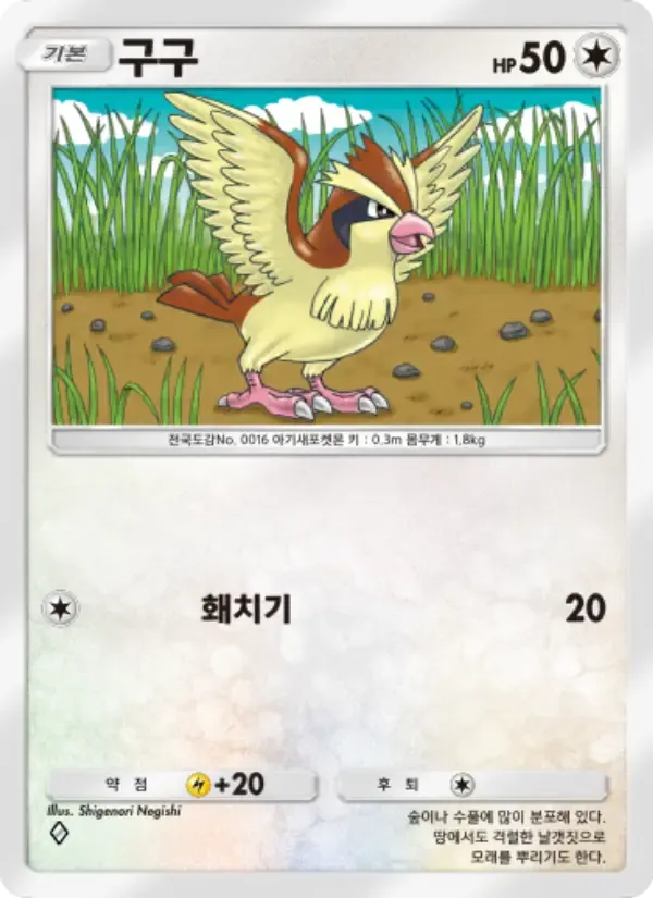 Pidgey card in Korean