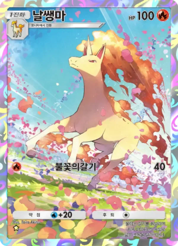 Rapidash card in Korean