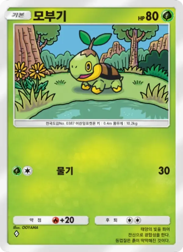 Turtwig card in Korean