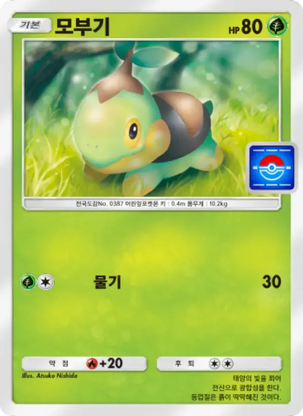 Turtwig card in Korean