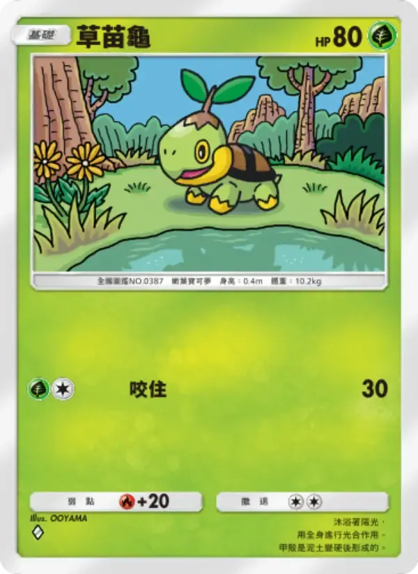 Turtwig card in Chinese