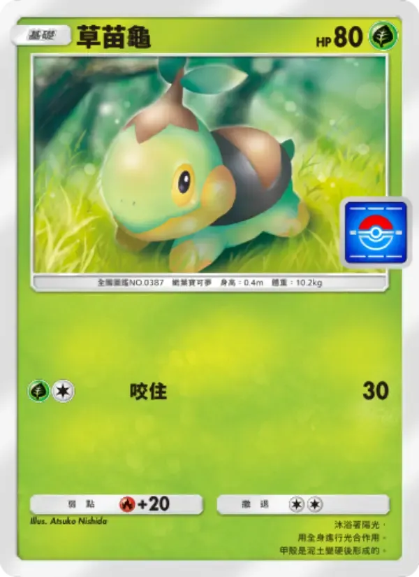 Turtwig card in Chinese