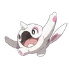 Cetoddle