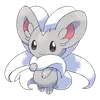 Cinccino