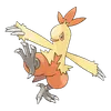 Combusken