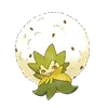 Eldegoss