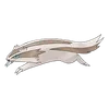 Linoone