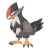 Staraptor