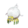 Tarountula